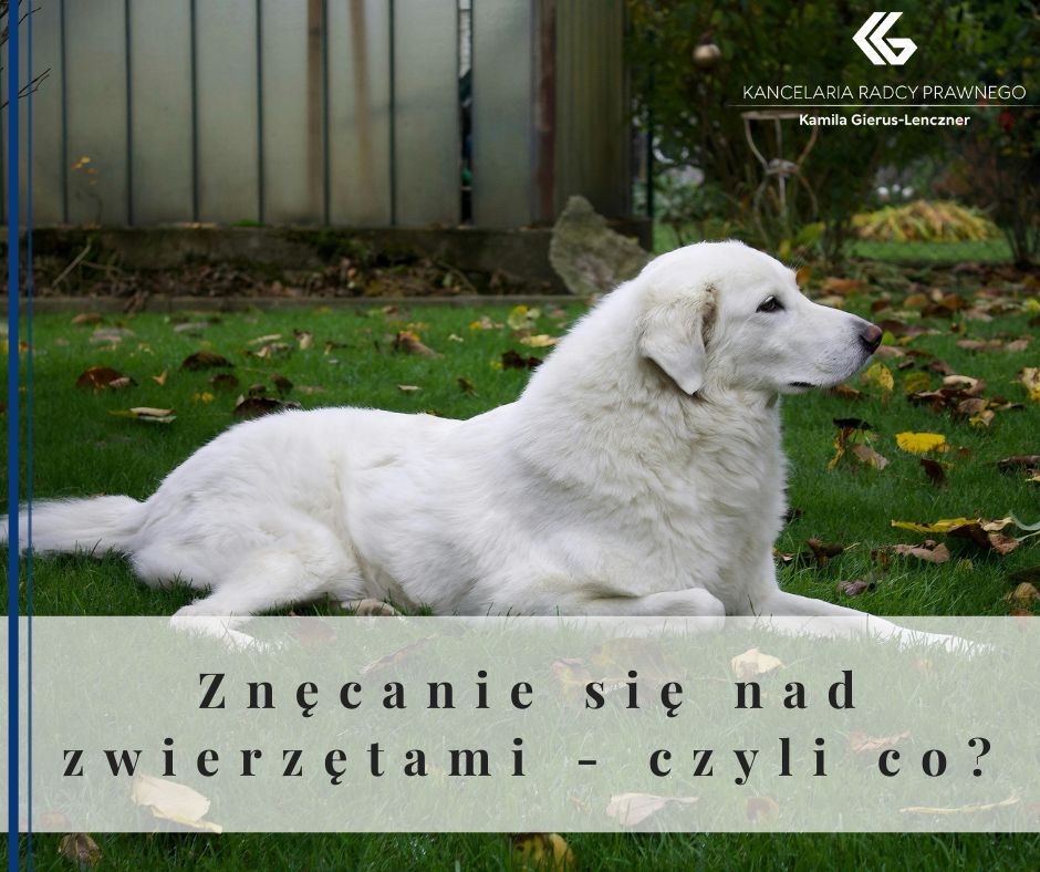 Znęcanie się nad zwierzętami - czyli co?
              